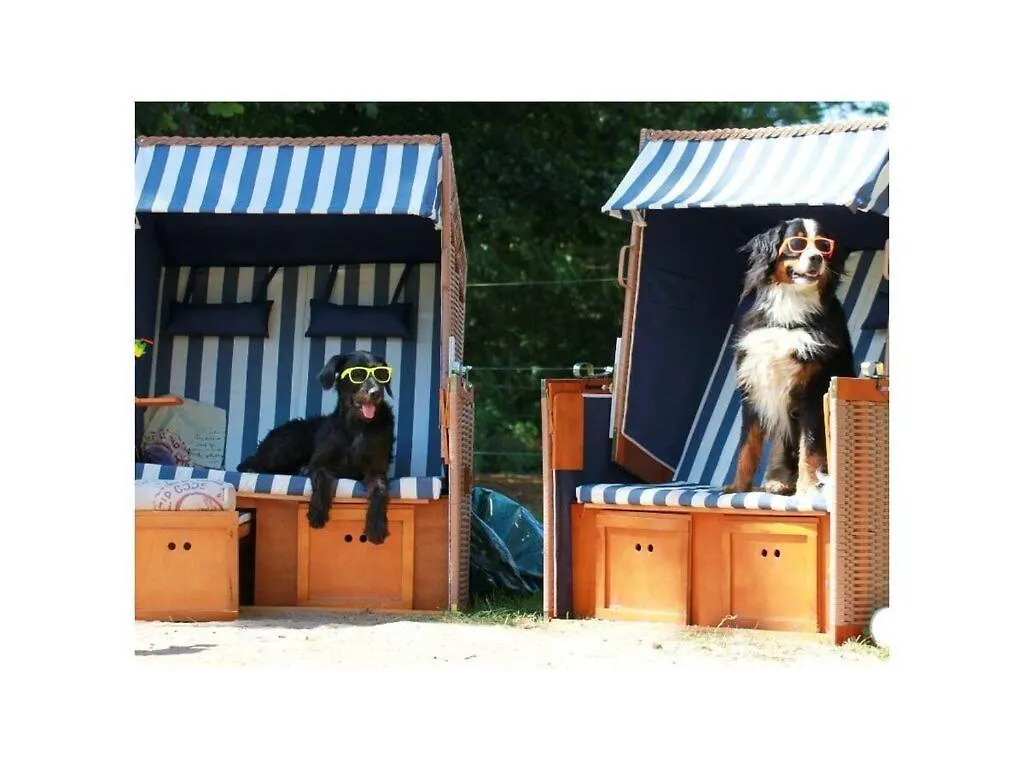 بيت للعطل Aardehuis Appartement 